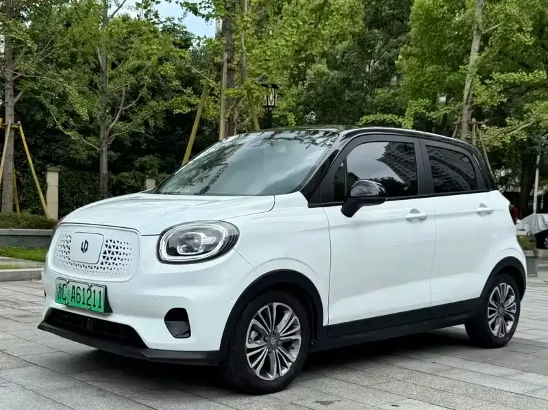 Leapmotor T03, 2020