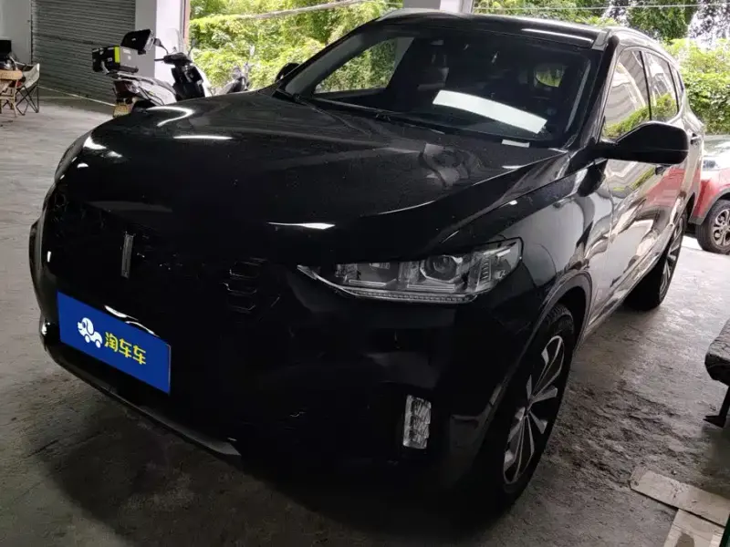 Wey VV6, 2019
