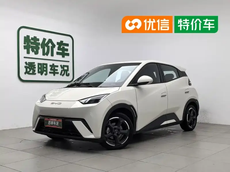 BYD Seagull, 2023
