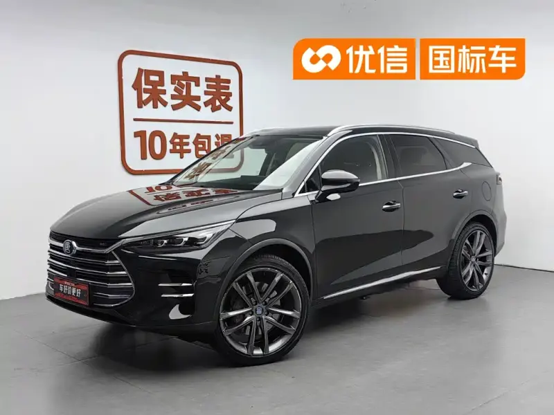 BYD Tang New Energy, 2019