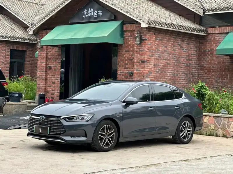 BYD Qin Pro NEV, 2019 — фото 1