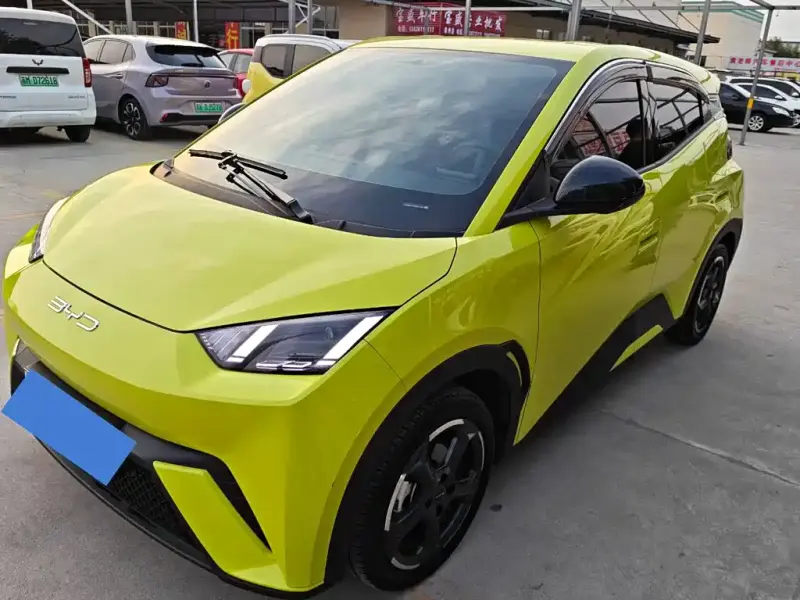 BYD Seagull, 2023