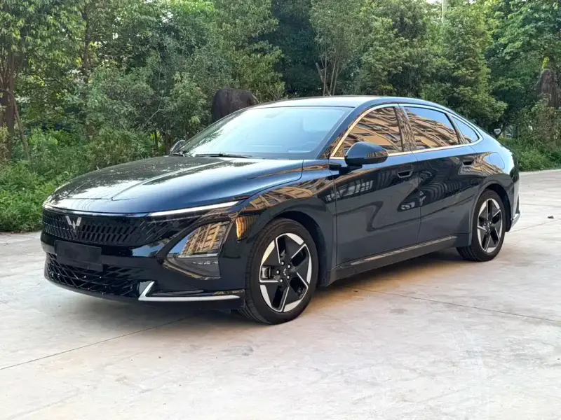 Wuling Xingguang, 2024