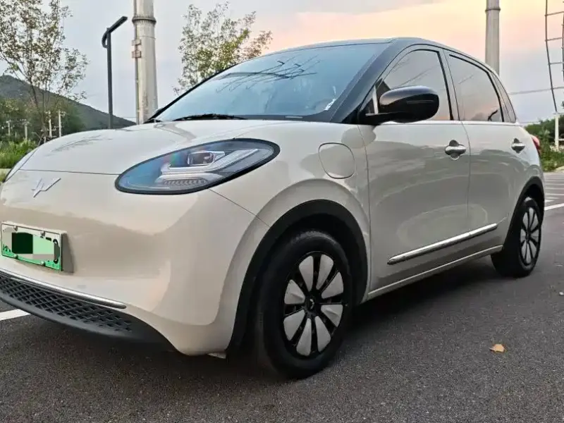 Wuling Bingo, 2024
