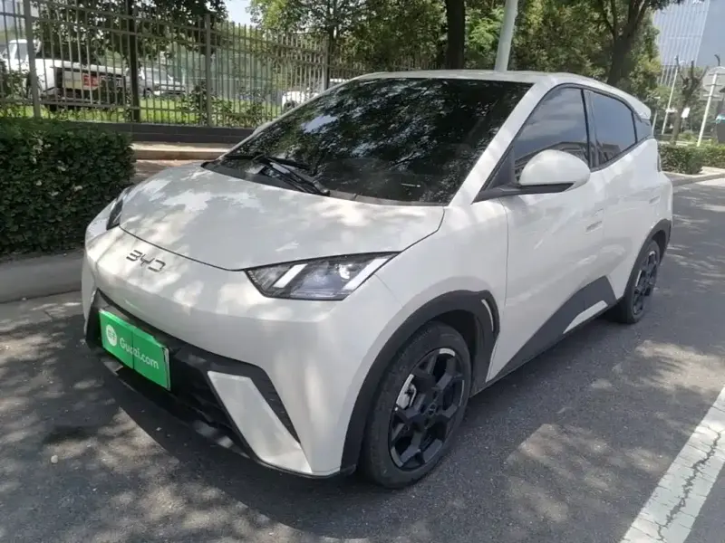BYD Seagull, 2024