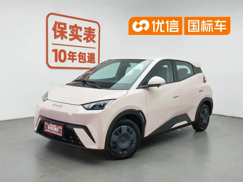 BYD Seagull, 2025