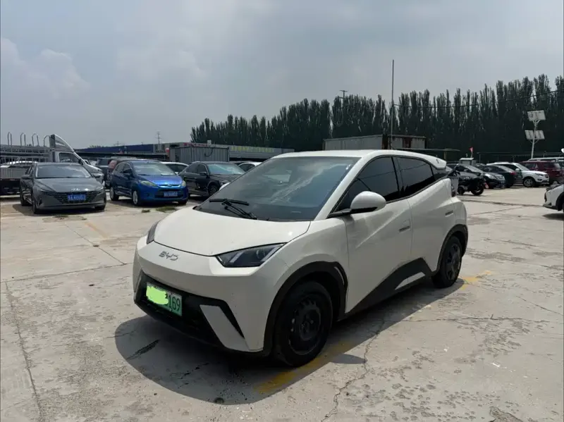 BYD Seagull, 2024