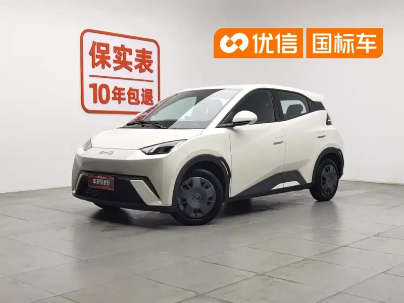 BYD Seagull, 2024