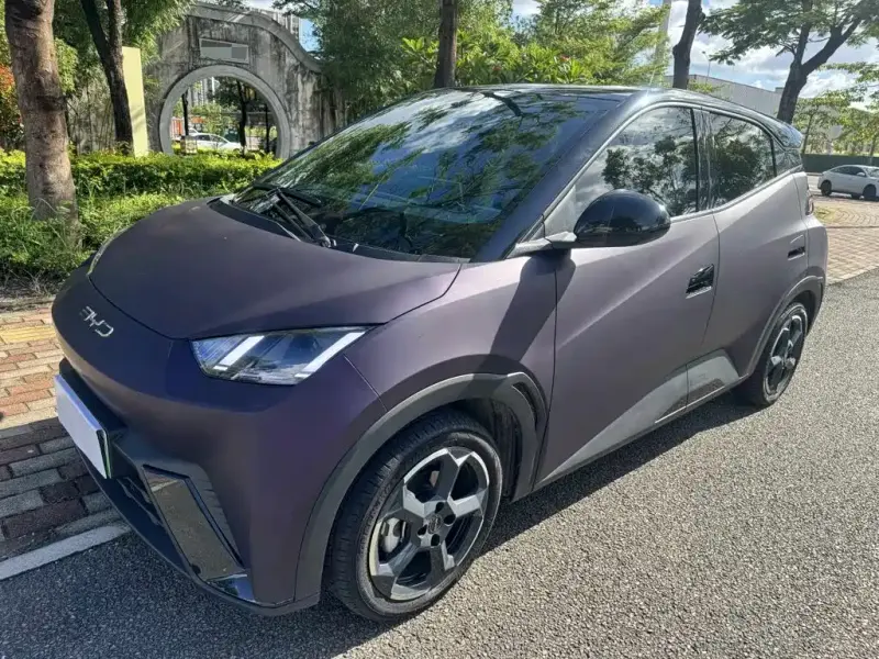 BYD Seagull, 2024