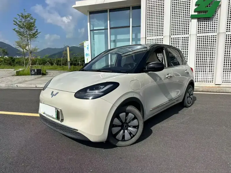 Wuling Bingo, 2024
