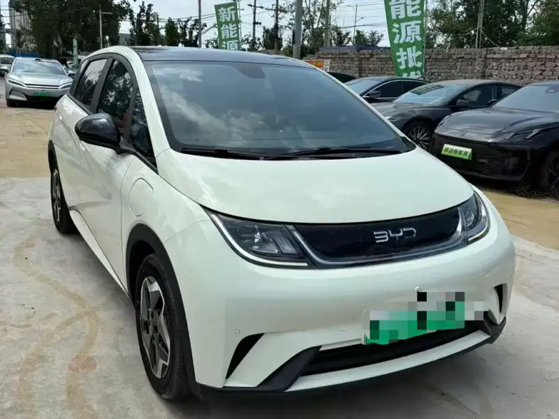 BYD Dolphin, 2023