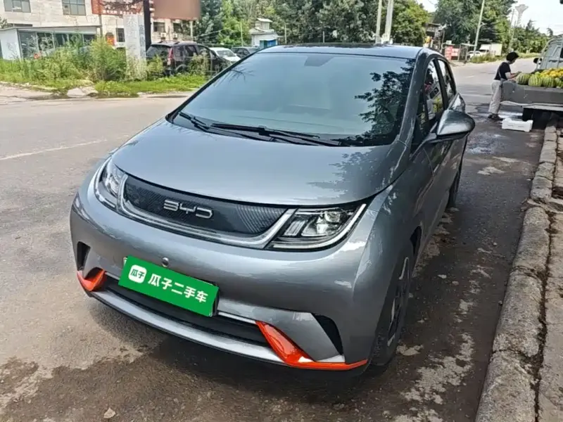 BYD Dolphin, 2022