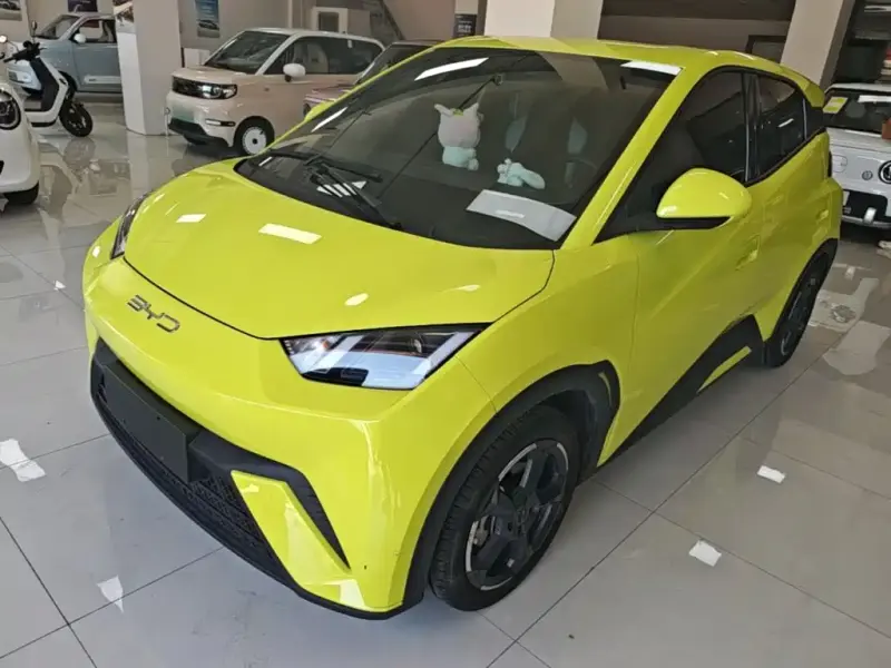 BYD Seagull, 2024