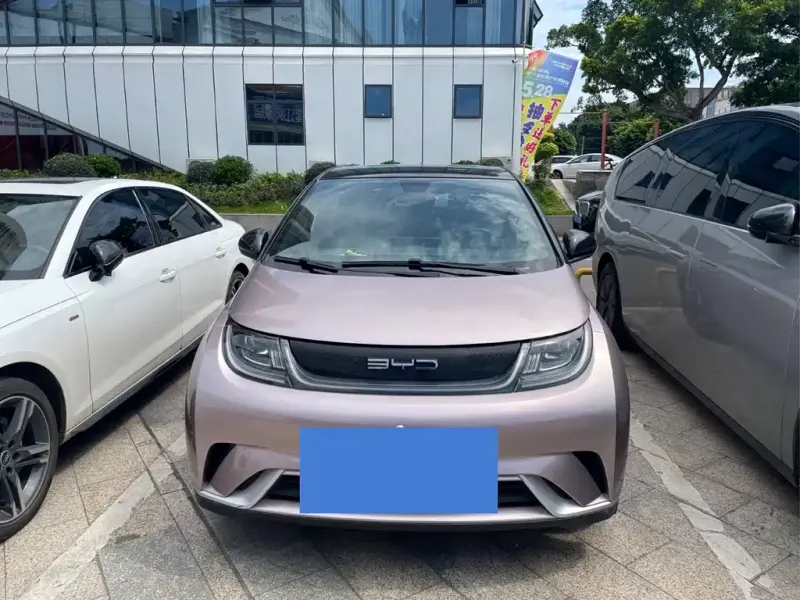 BYD Dolphin, 2022