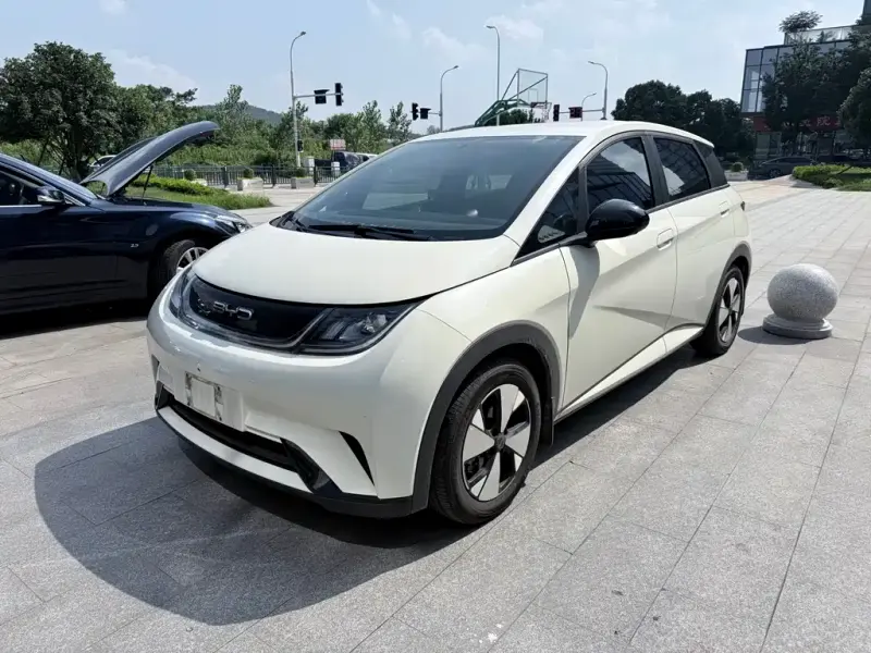 BYD Dolphin, 2023
