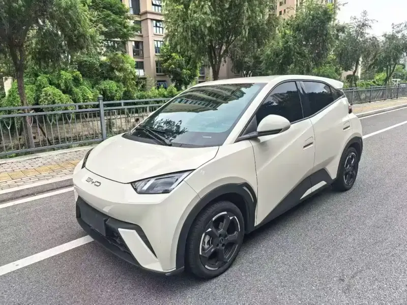 BYD Seagull, 2023