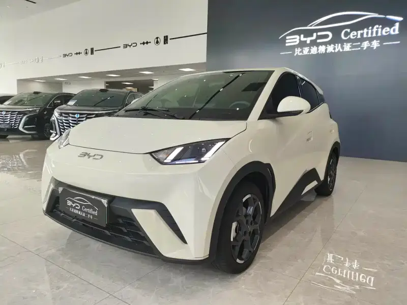 BYD Seagull, 2024