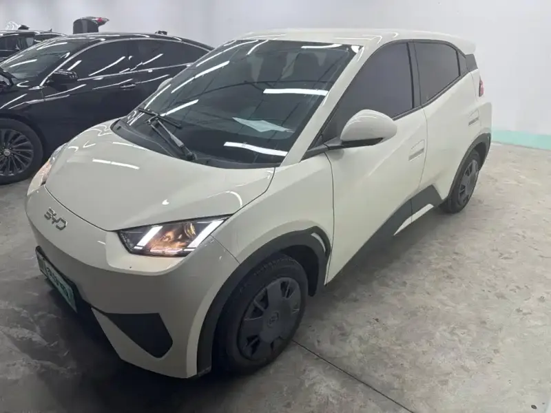 BYD Seagull, 2025