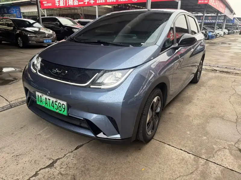BYD Dolphin, 2025