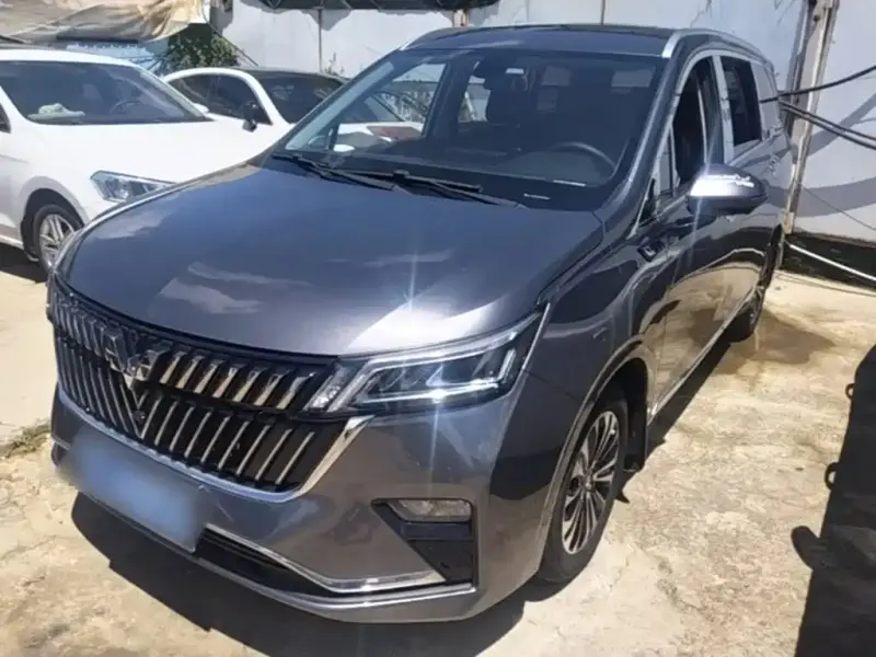 Wuling Jiachen, 2024