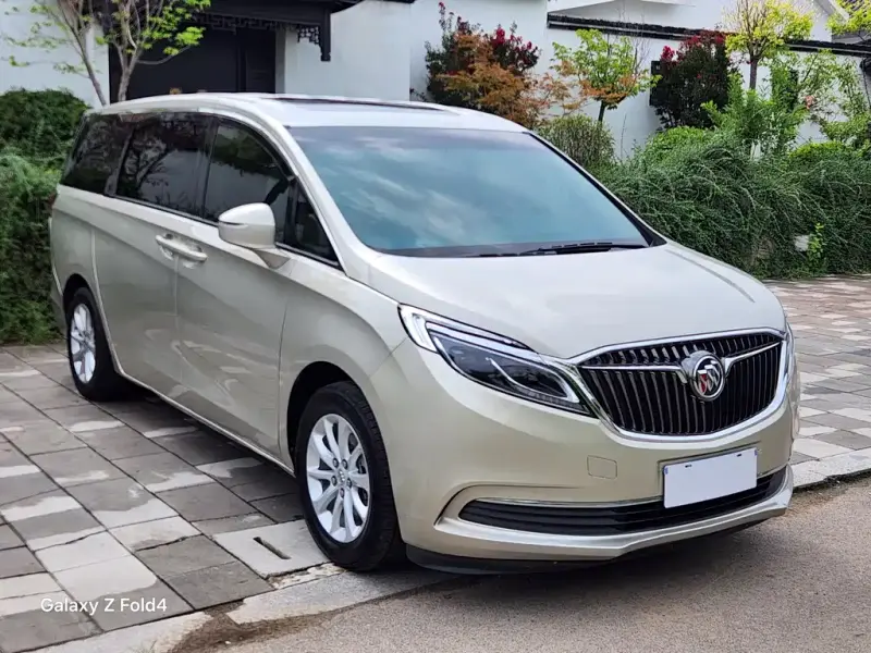 Buick GL8, 2019