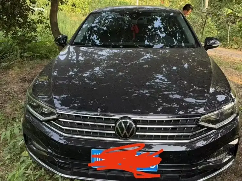 Volkswagen Magotan, 2023