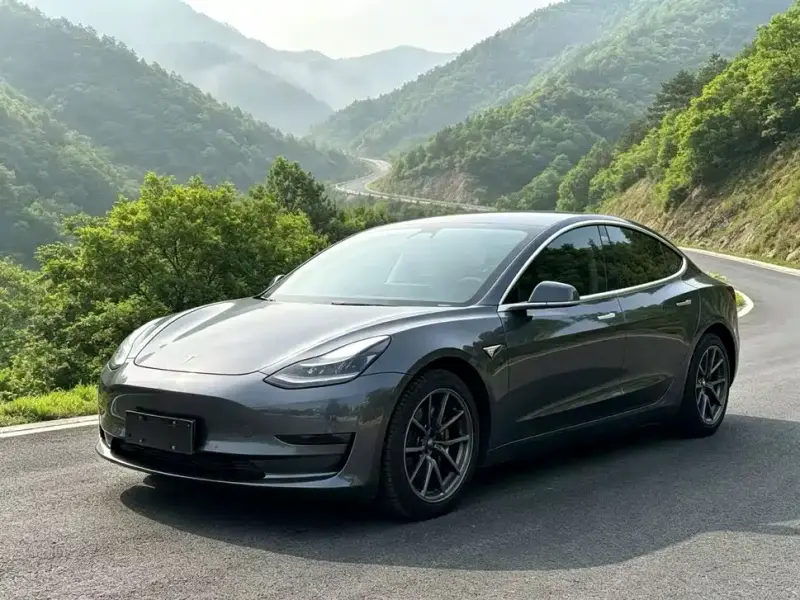 Tesla Model 3, 2020