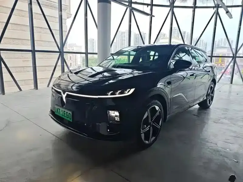 VOYAH Zhiyin, 2024