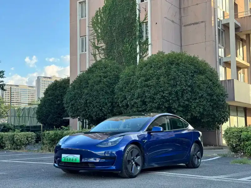 Tesla Model 3, 2021