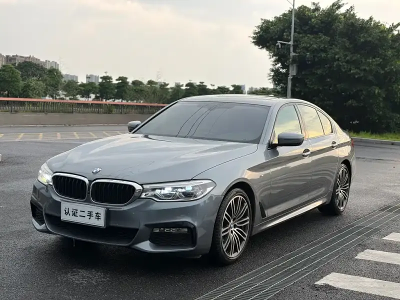 BMW 5 Series (Import), 2018