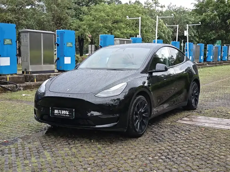 Tesla Model Y, 2021