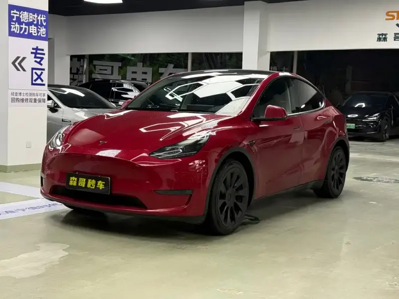 Tesla Model Y, 2021
