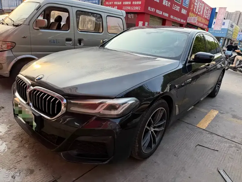 BMW 5 Series New Energy, 2021