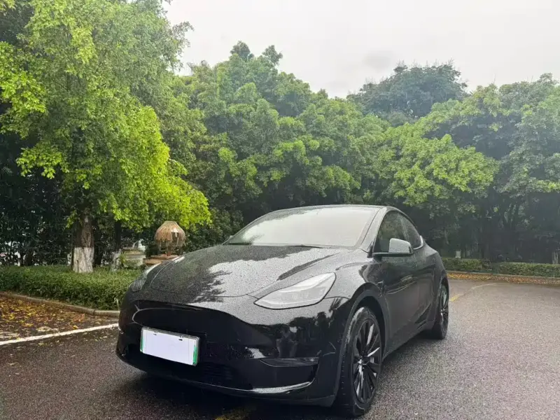 Tesla Model Y, 2021