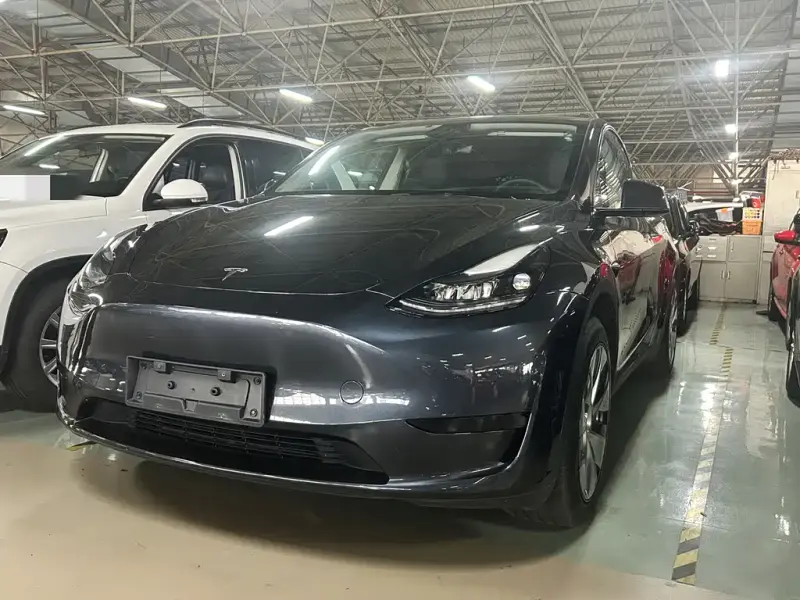 Tesla Model Y, 2024
