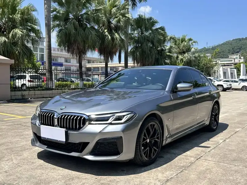 BMW 5 Series (Import), 2021