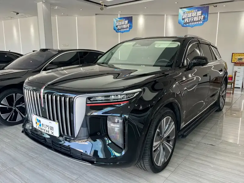 Hongqi E-HS9, 2021
