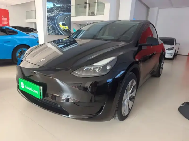 Tesla Model Y, 2022