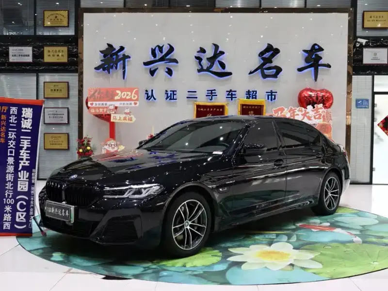 BMW 5 Series New Energy, 2022