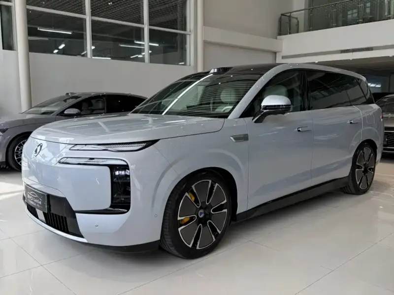 Denza N8L, 2025