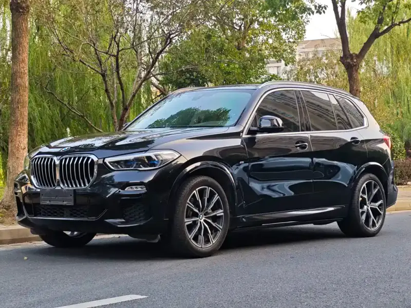 BMW X5 (Import), 2019