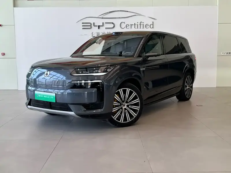 Denza N9, 2025