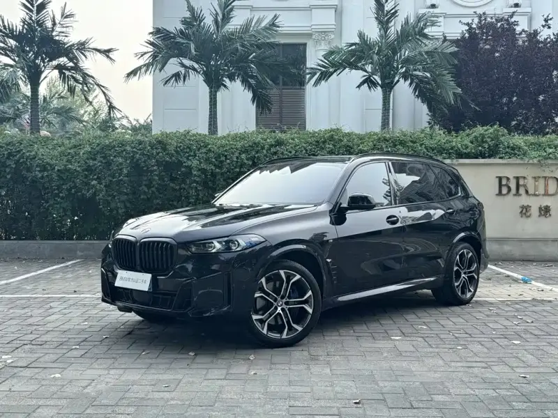 BMW X5, 2025