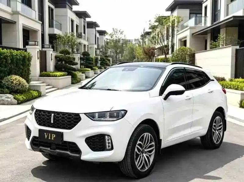 Wey VV5, 2018