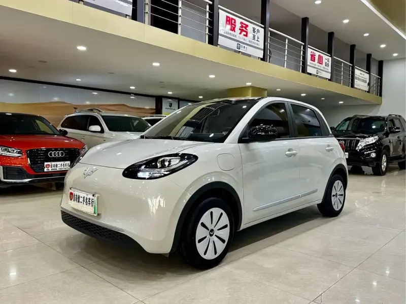 Wuling Bingo, 2024