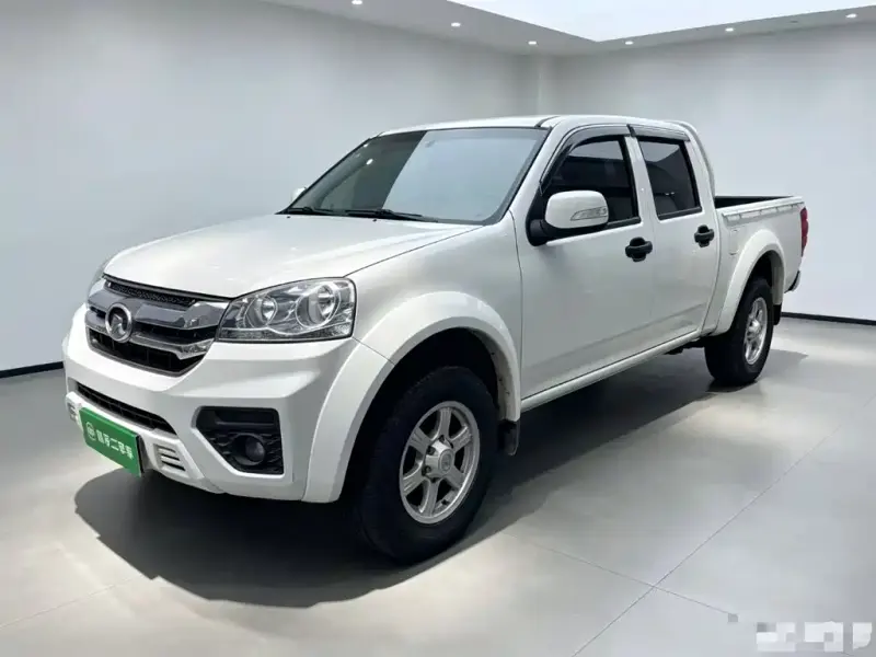 Great Wall Fengjun 5, 2021