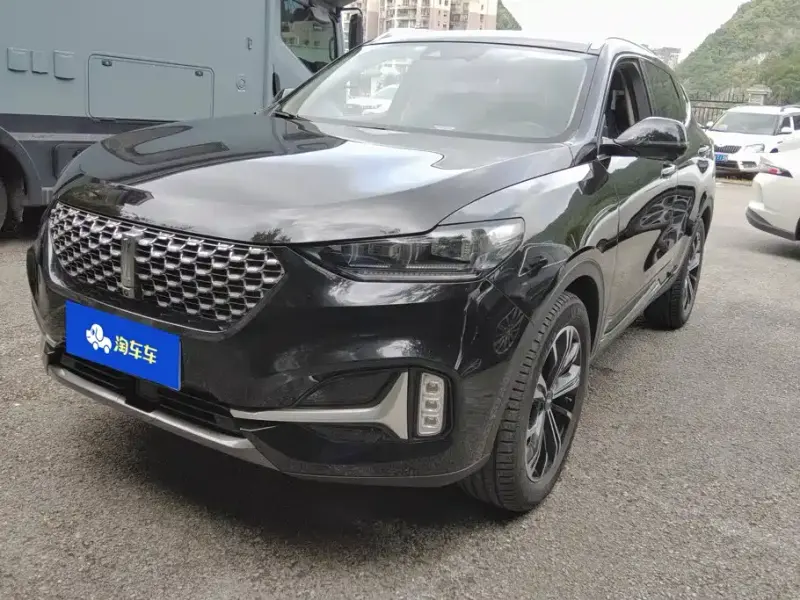 Wey VV6, 2020