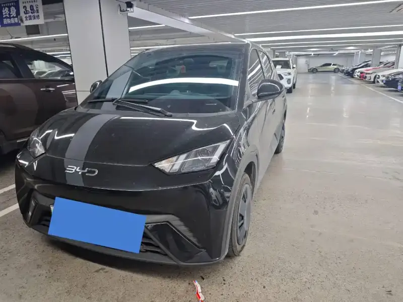 BYD Seagull, 2025