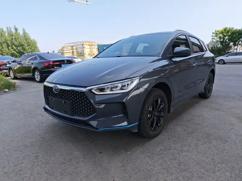 BYD e2, 2021