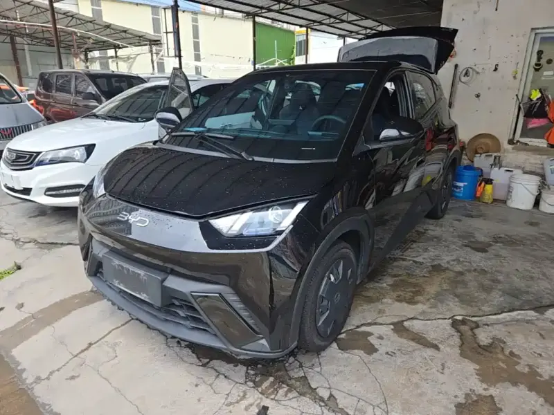 BYD Seagull, 2024